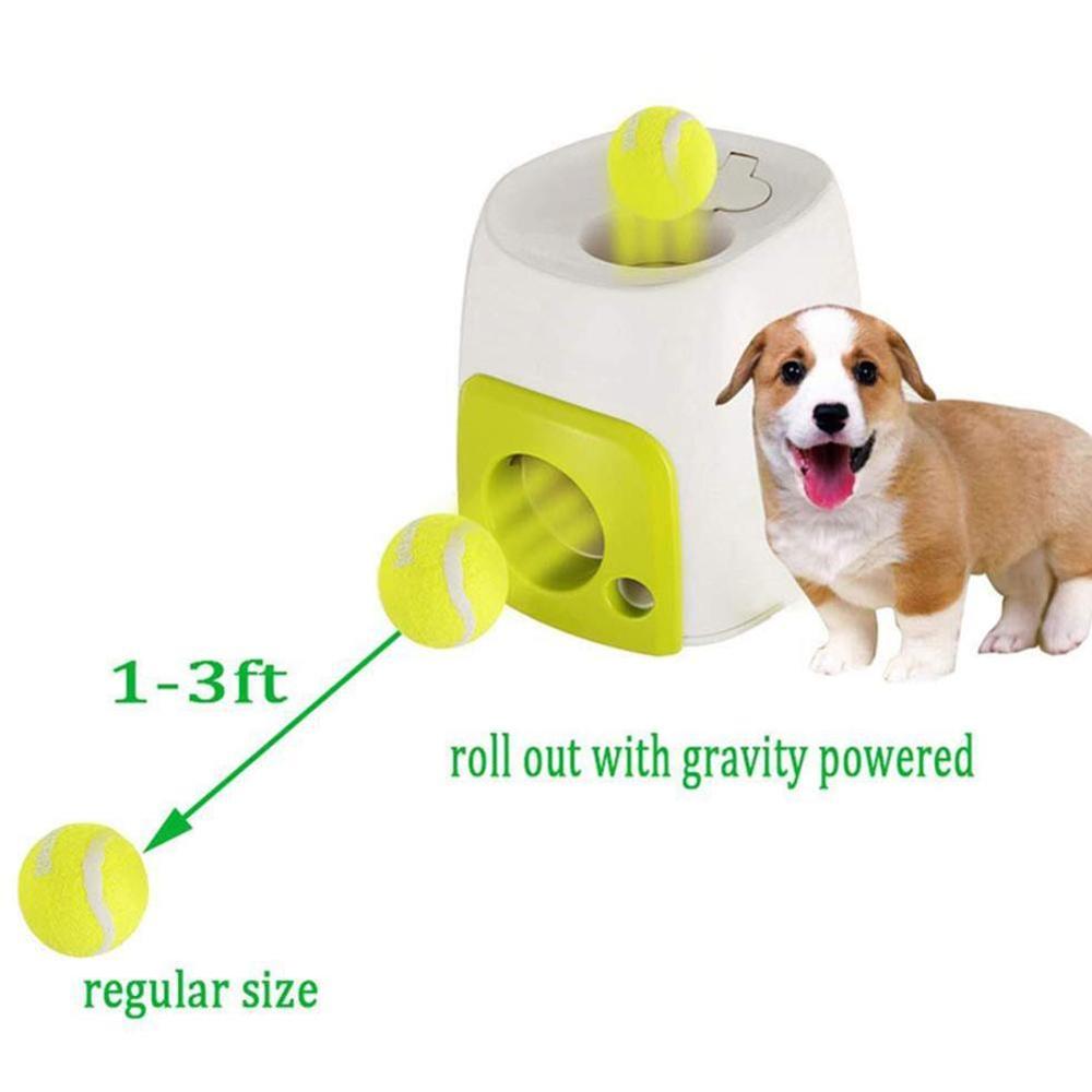 Automatic Interactive Pet Toy